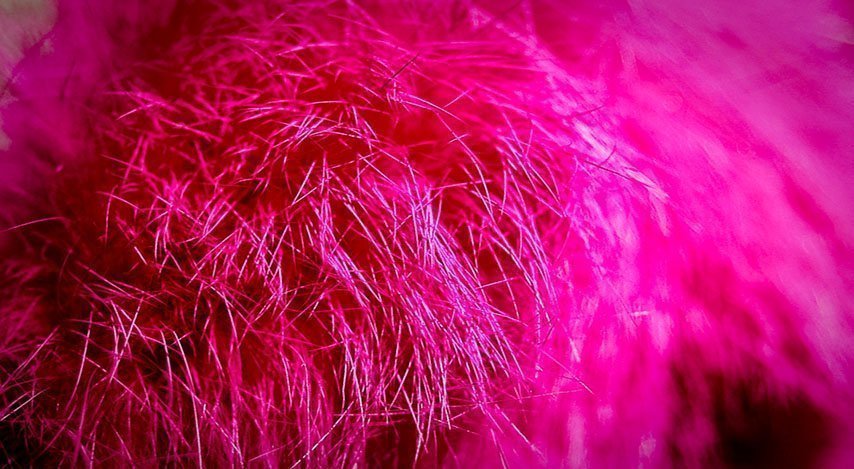 Colores primarios, ¿rojo, carmín o magenta?